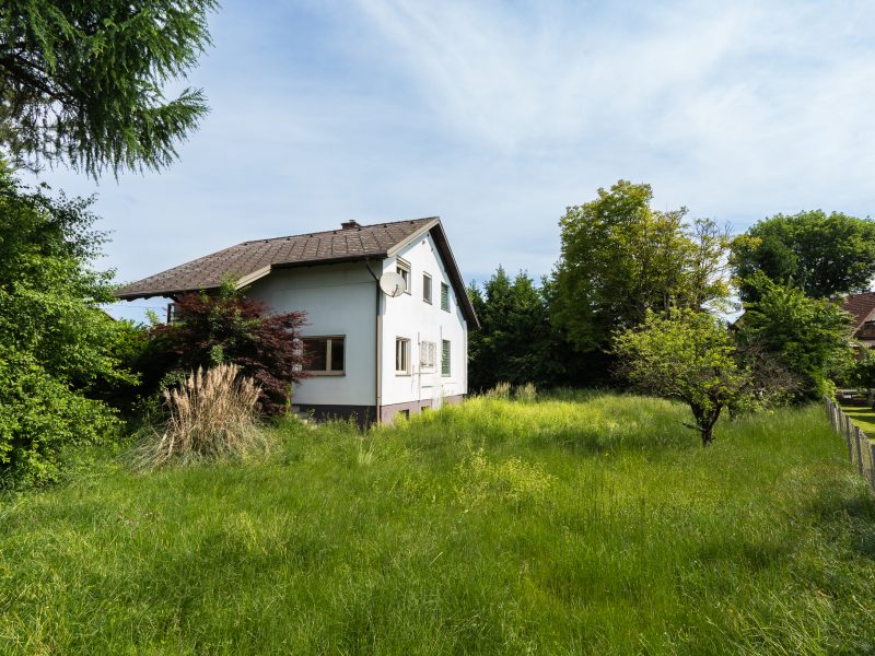 haus 29